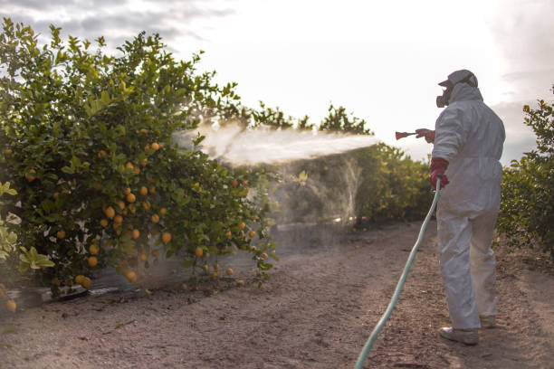 Best Best Pest Control Companies  in South Barre, VT